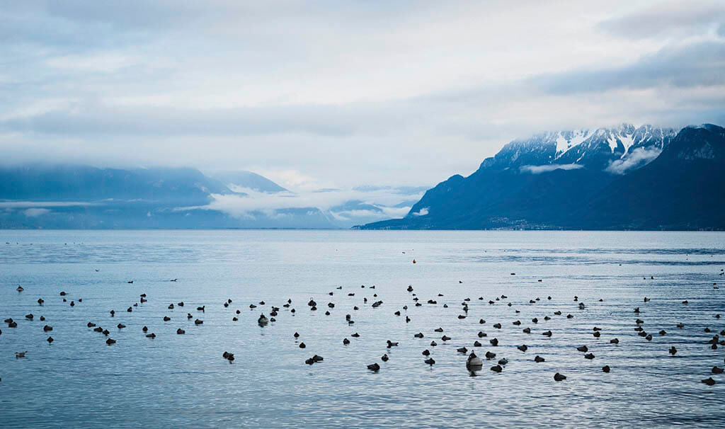 Svizzera in inverno: Ginevra