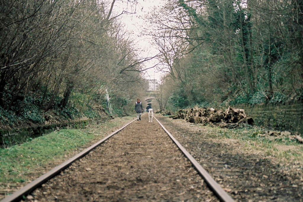 Quando hai visto tutto: passeggiata lungo la ferrovia