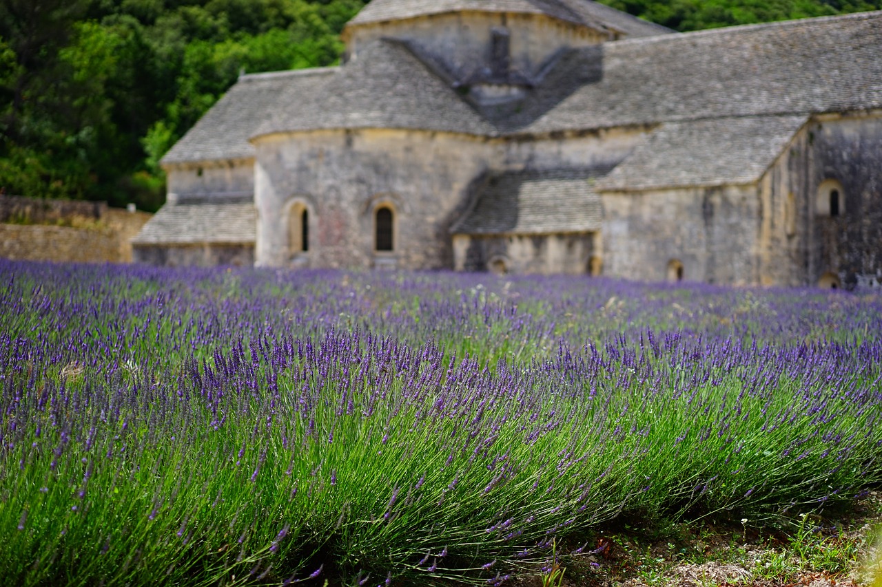 Abbazia di Notre-Dame