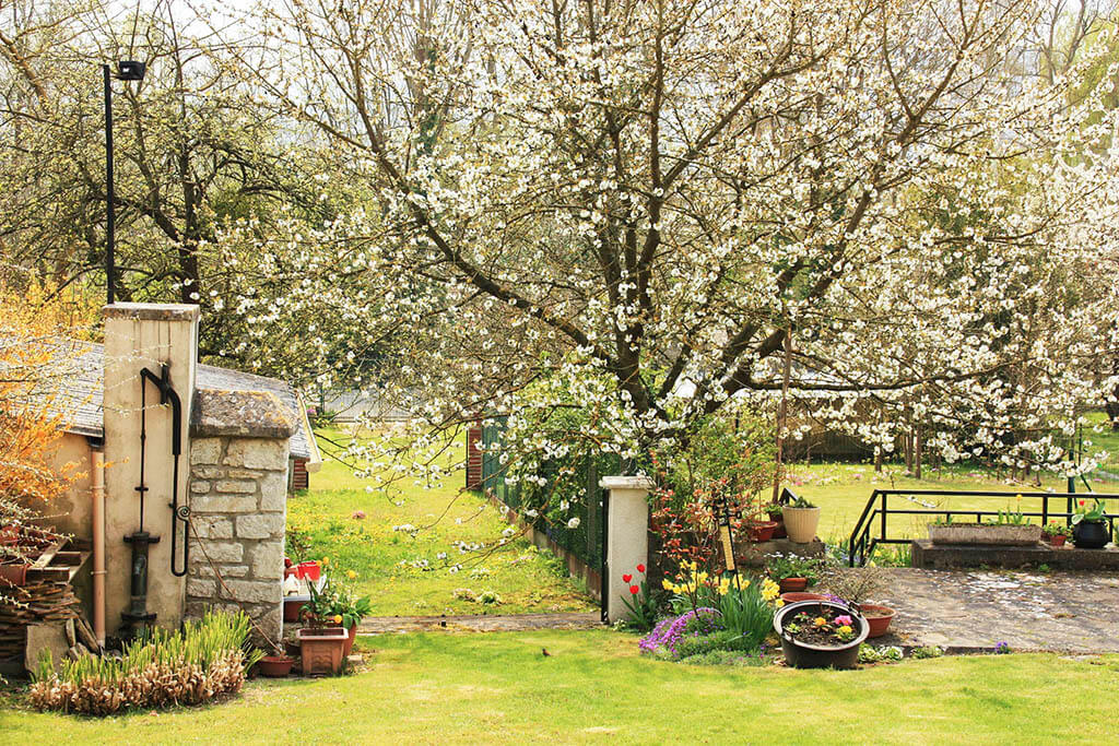 Calendario delle fioriture di Giverny per stagione